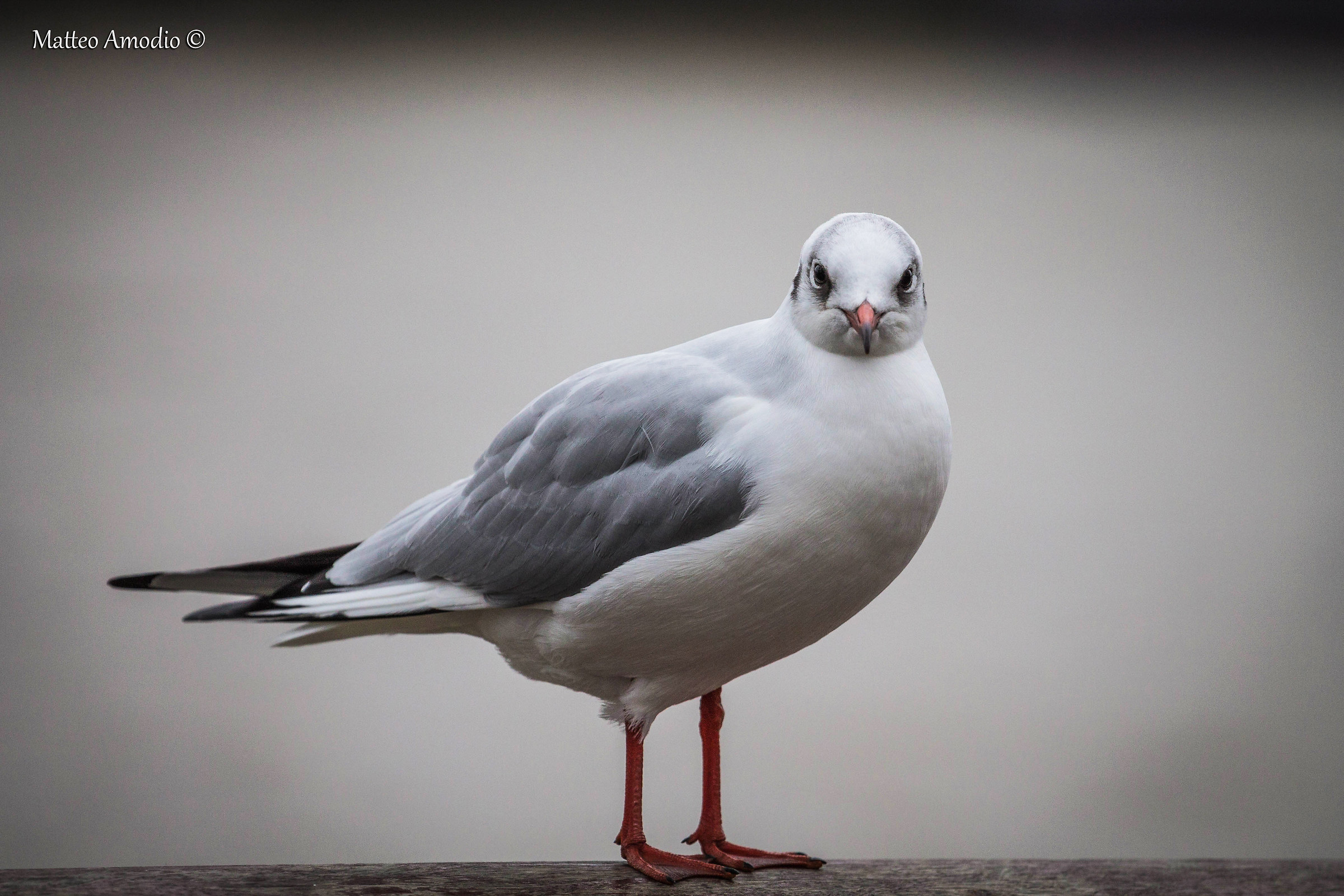 Are You Looking At Me?