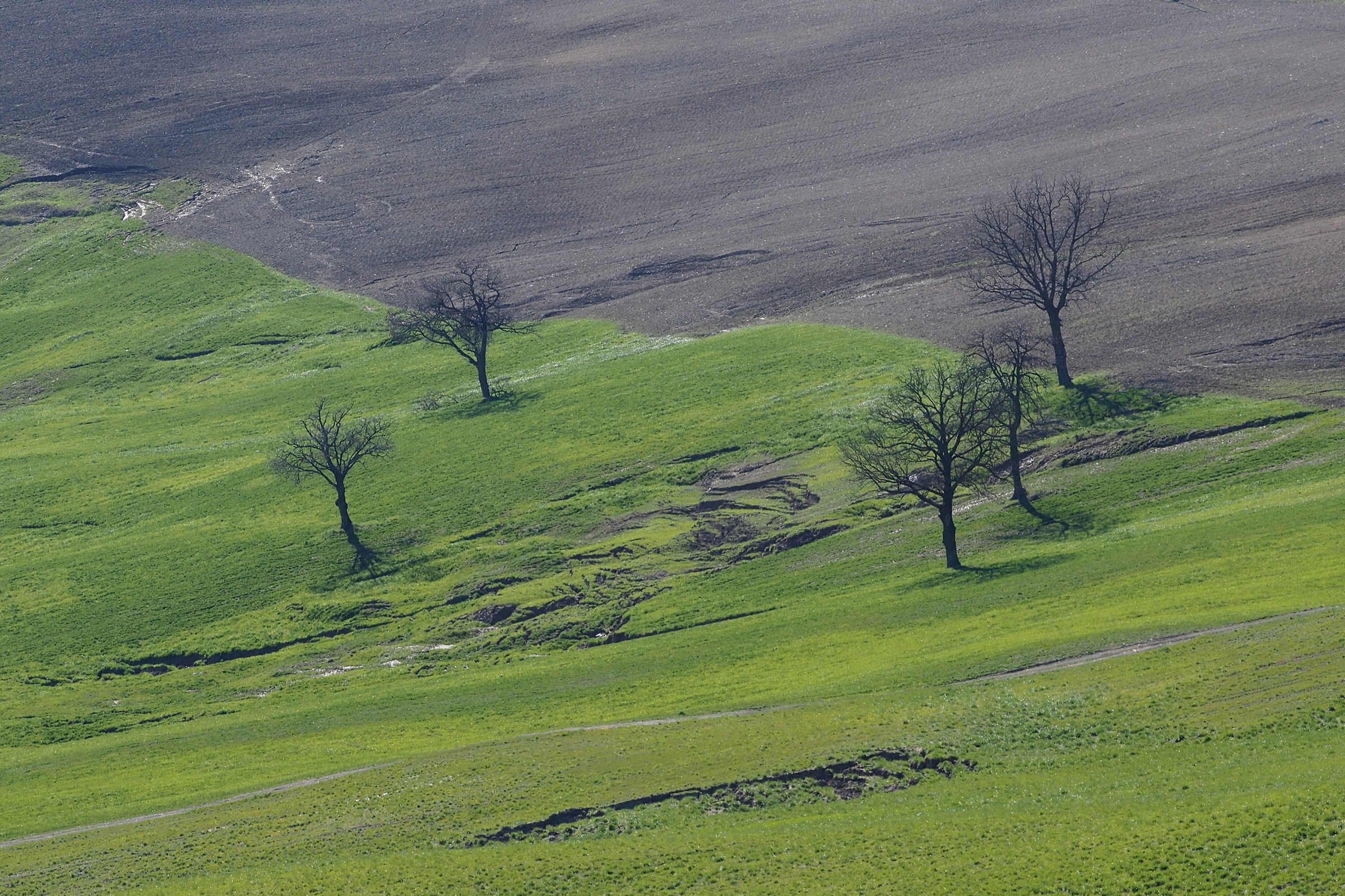 veduta da monte Evangelo