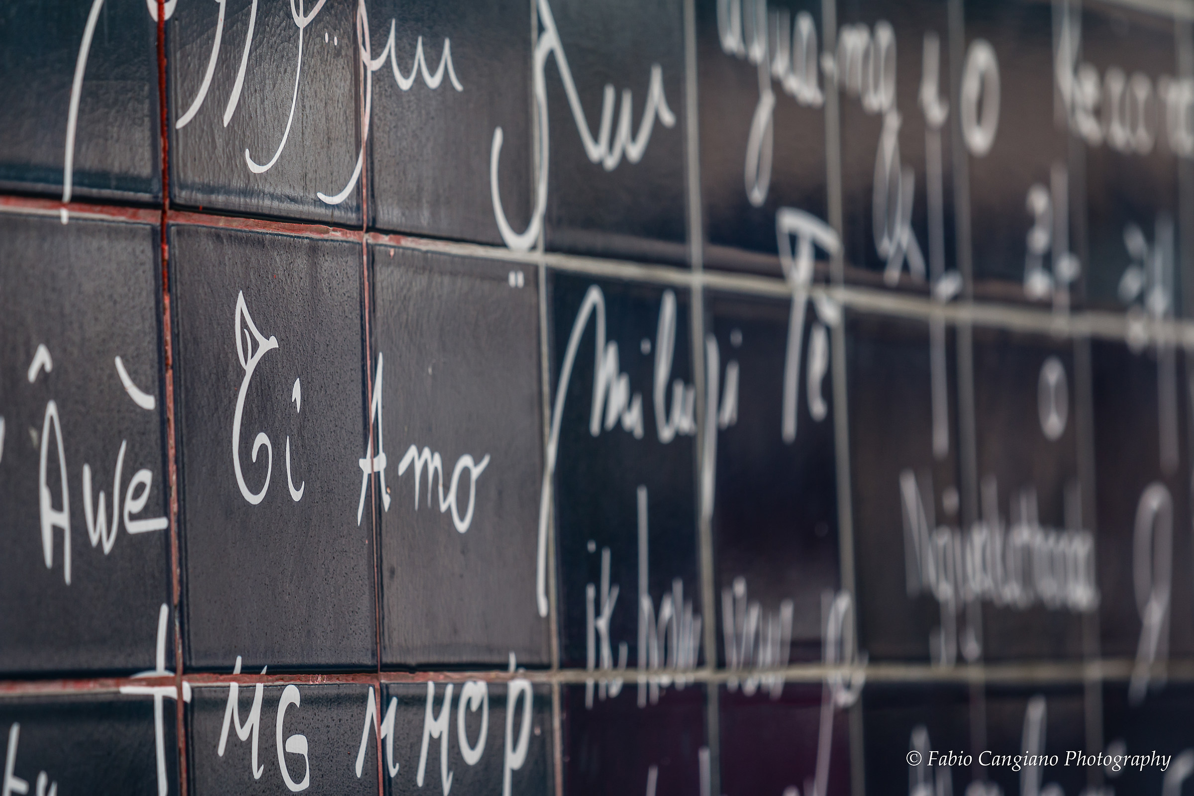 I love you in all languages ??of the world