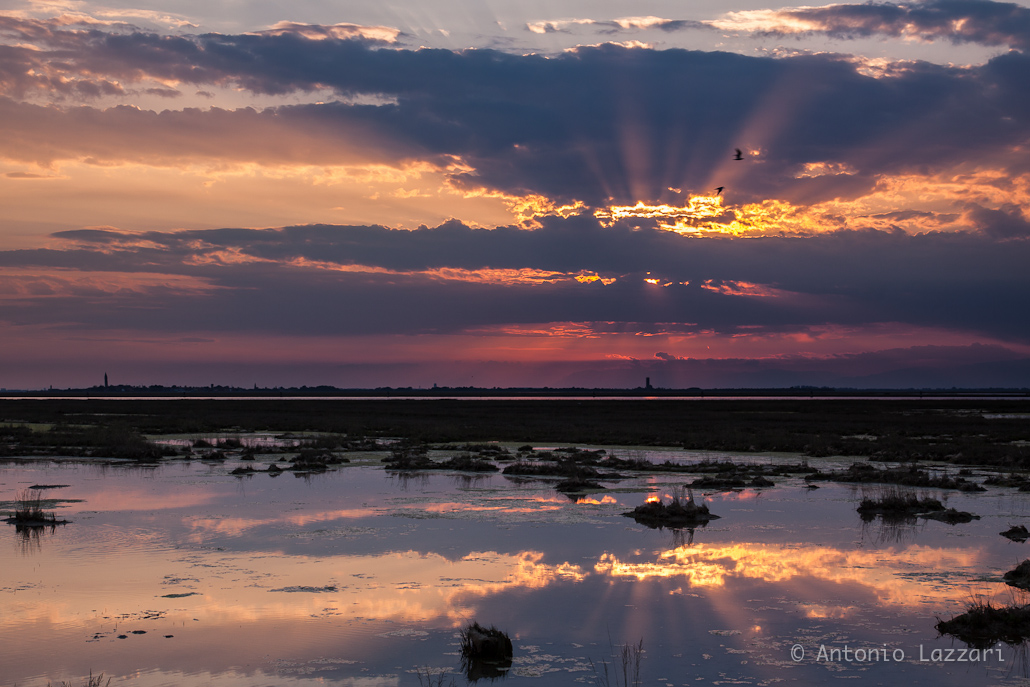 Sunset on the lagoon of Venice