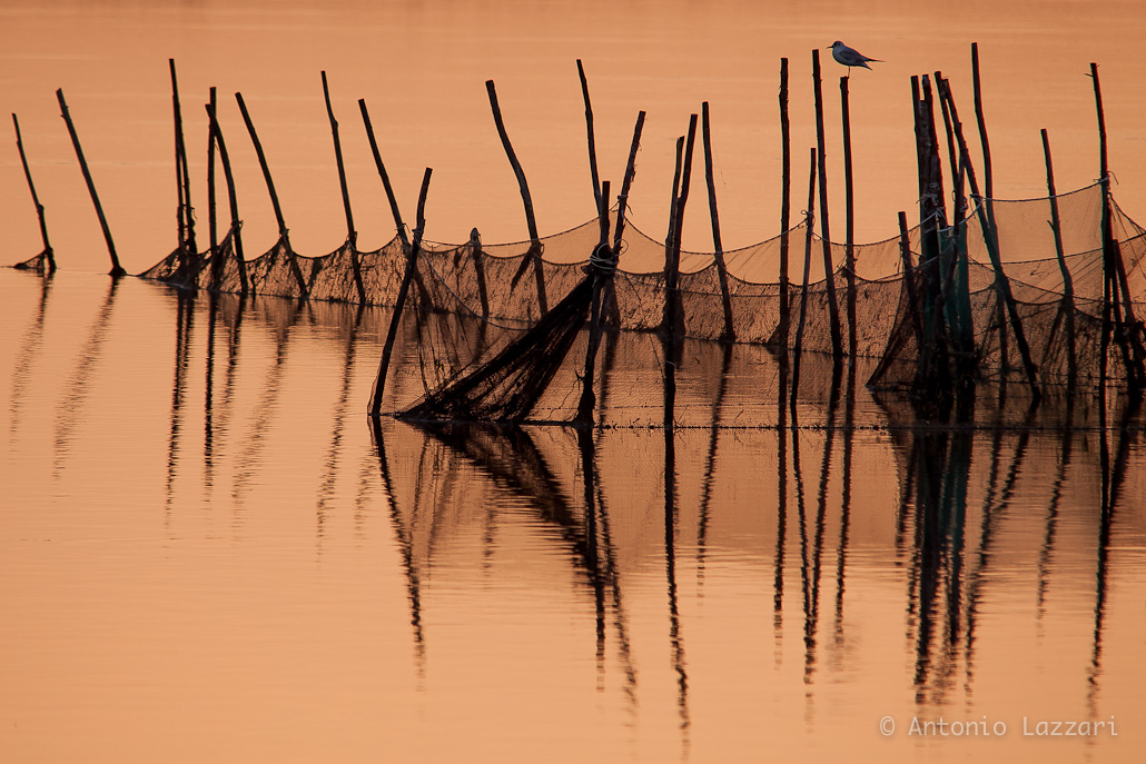 Sunrise in Venice Lagoon