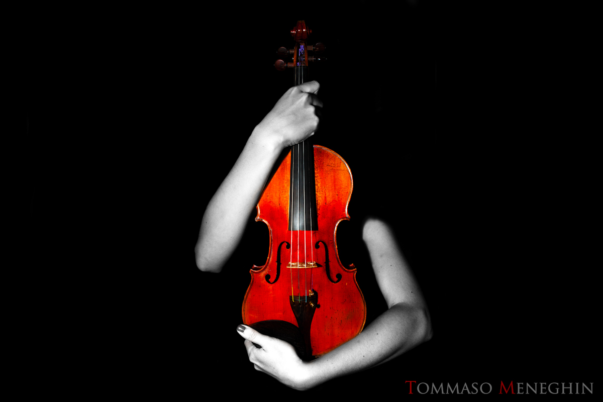 Violino