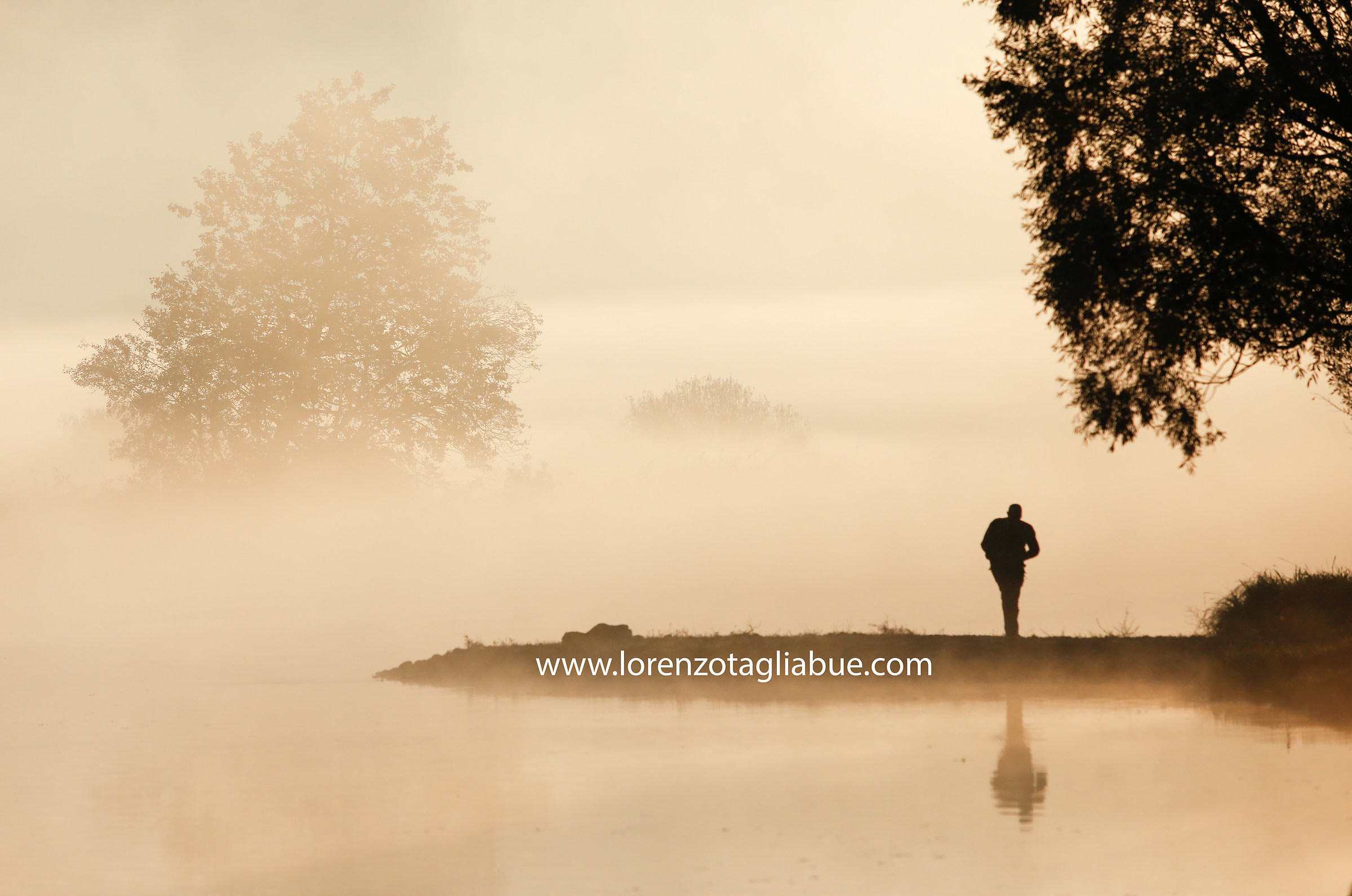 In the silence of the morning