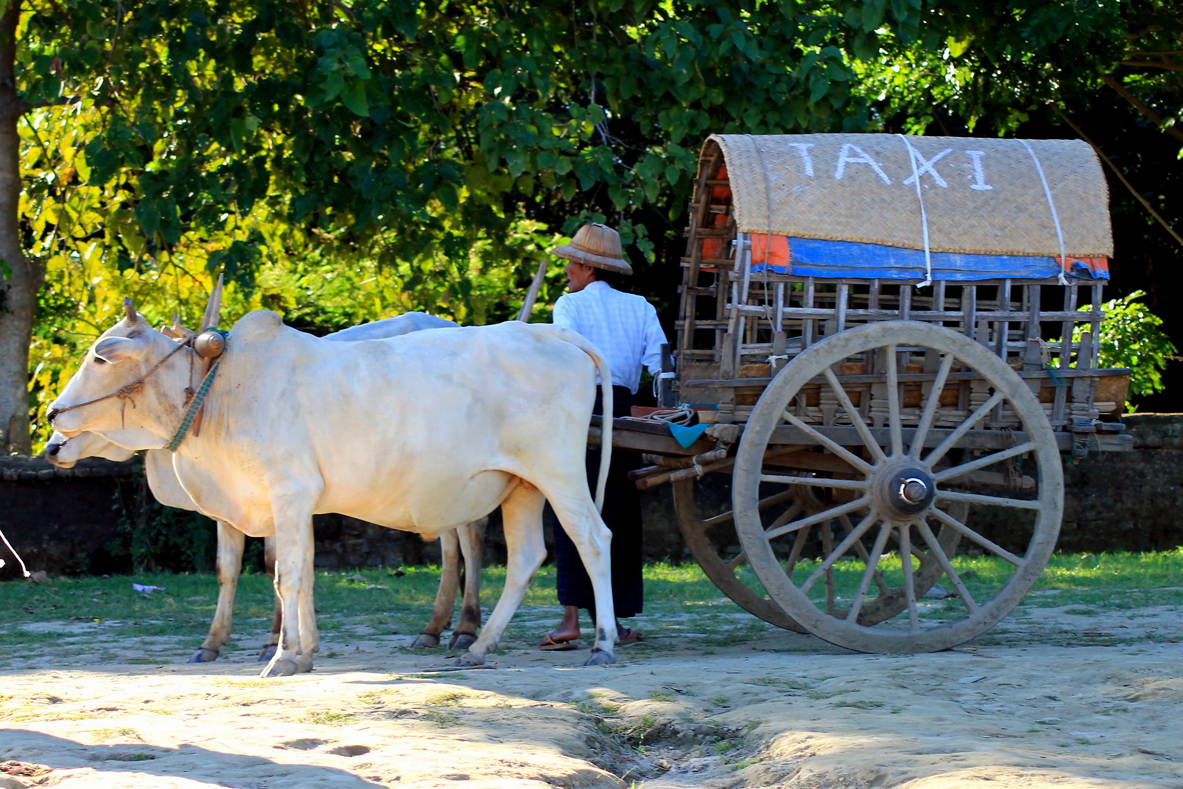 La miseria aguzza ingegno