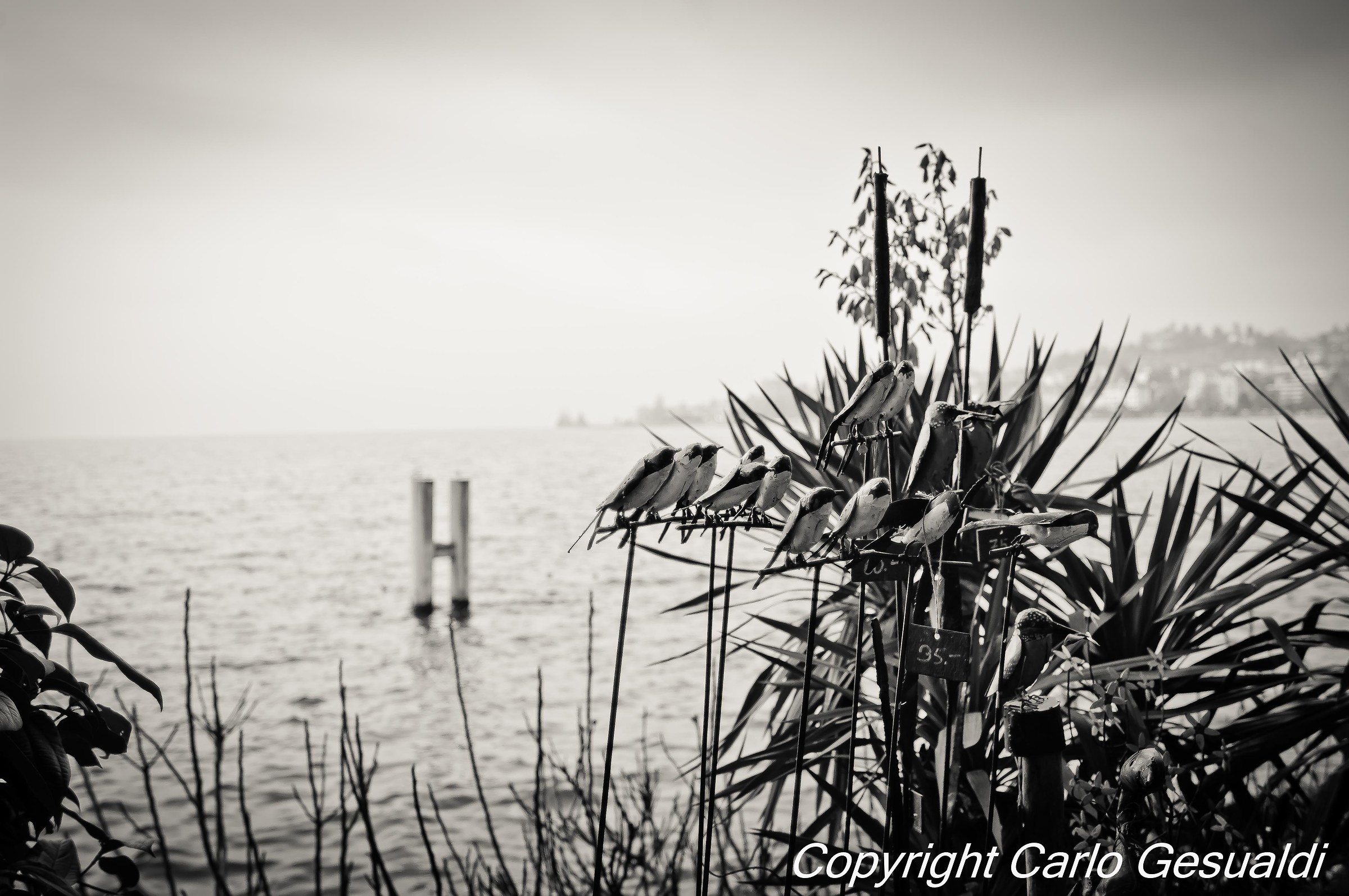 Montreux Lago di Ginevra