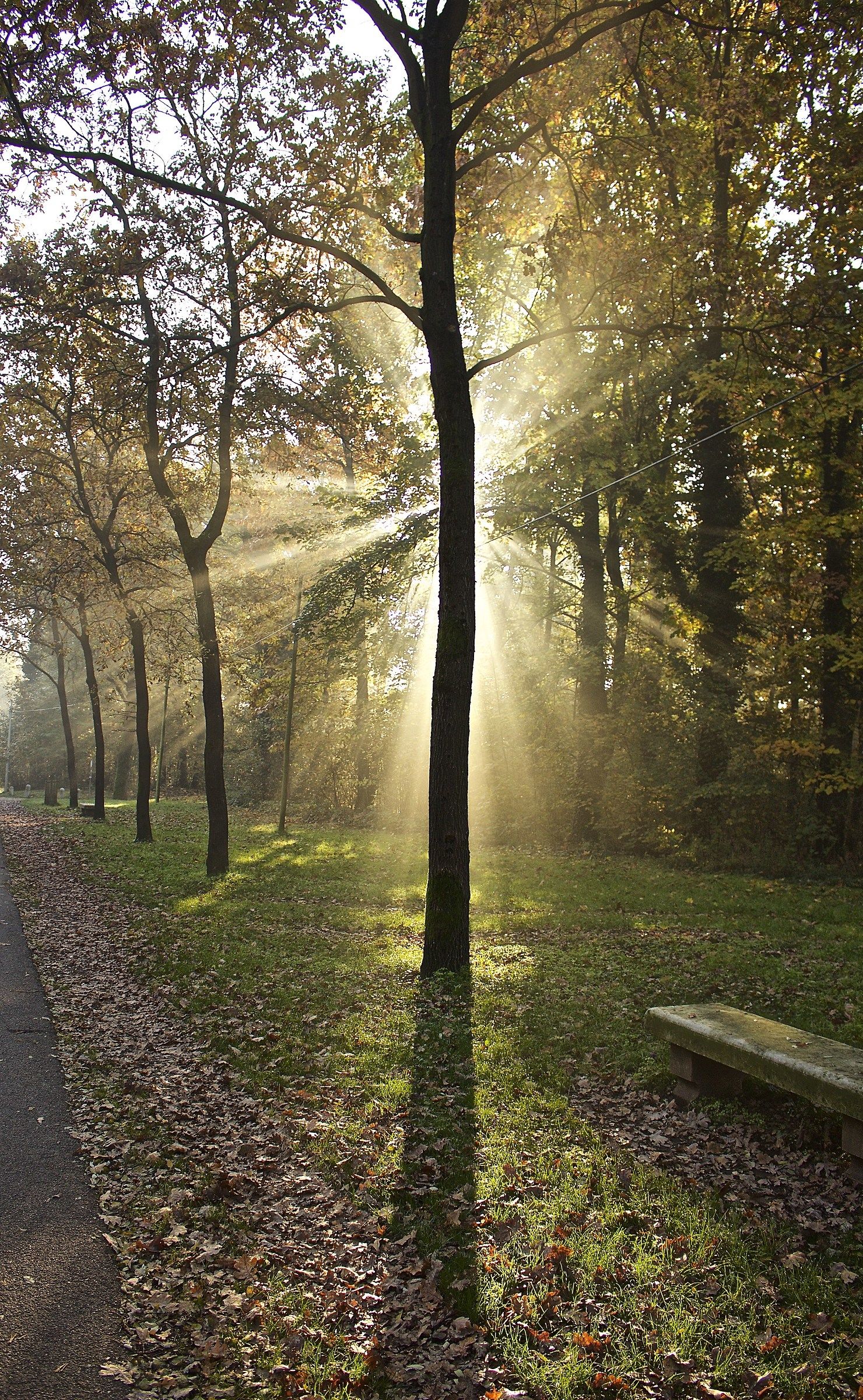 Luci, Parco di Monza d'autunno