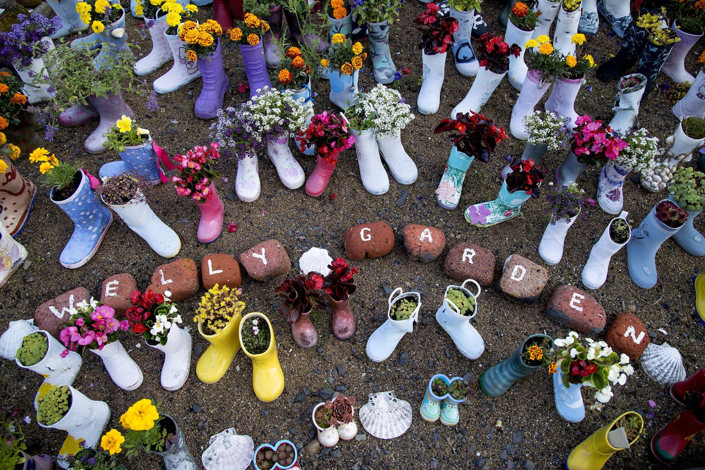 Welly Garden