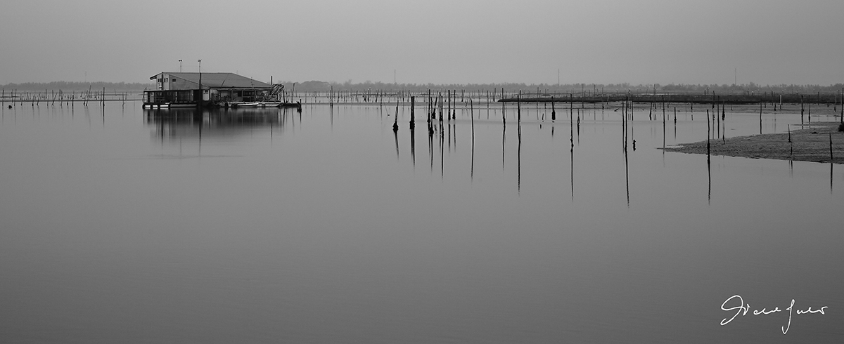 Port of Caleri - Po Delta