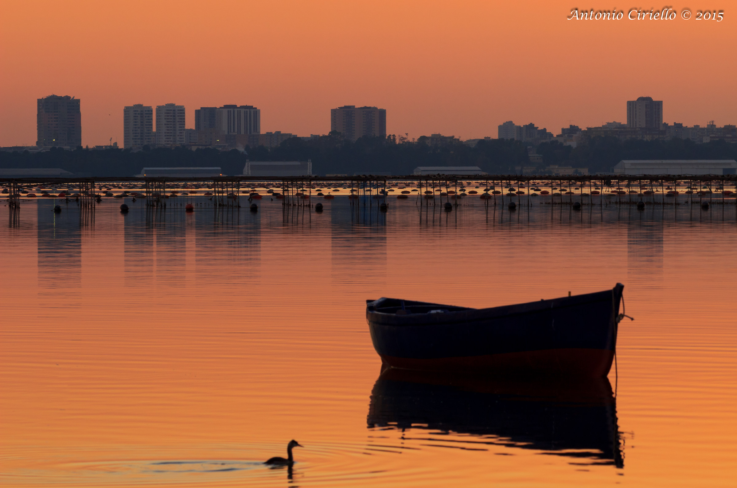 Passeggiata invernale