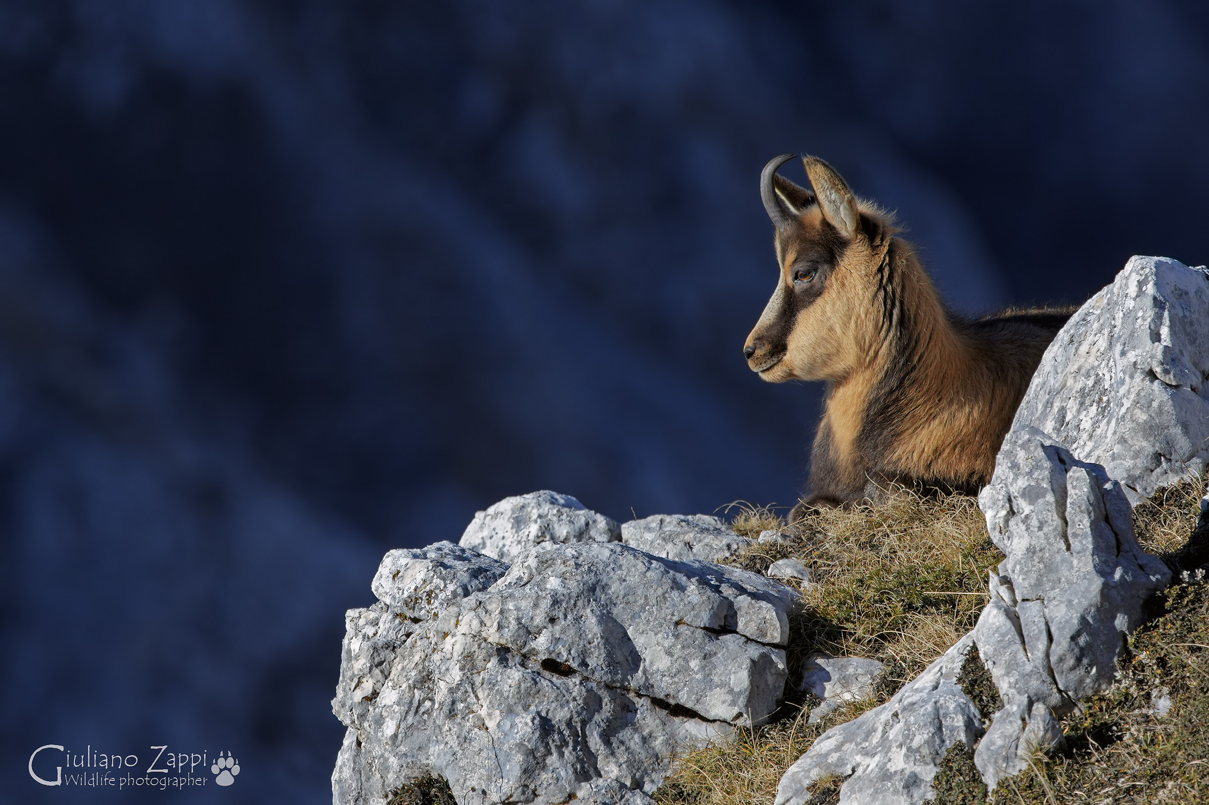 Aspettando l'inverno.