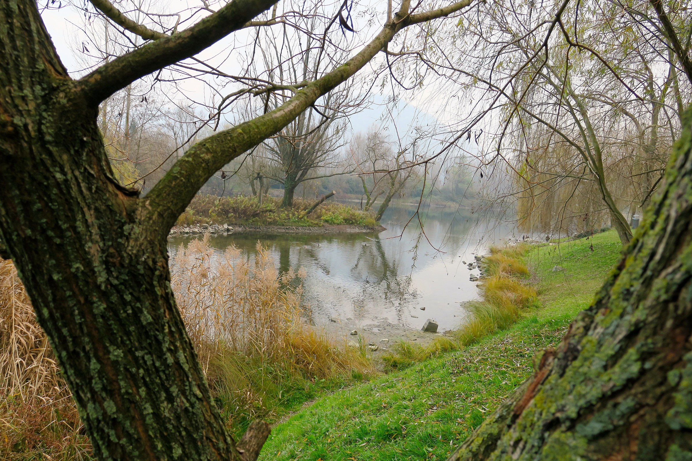 Isolotto di Brivio, autunno