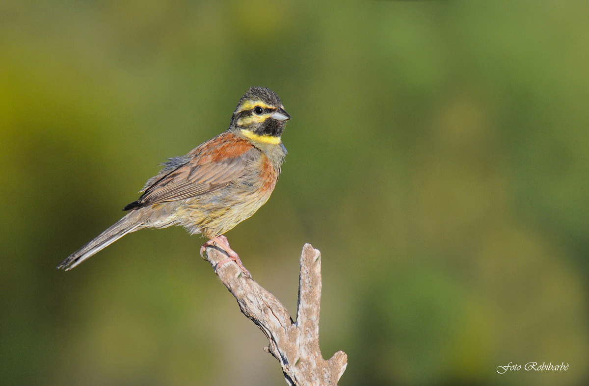 Dopo la rinfrescata...
