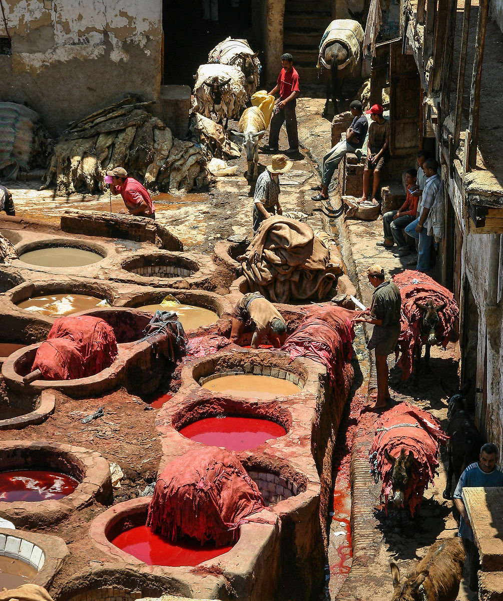 Fez - tannerie