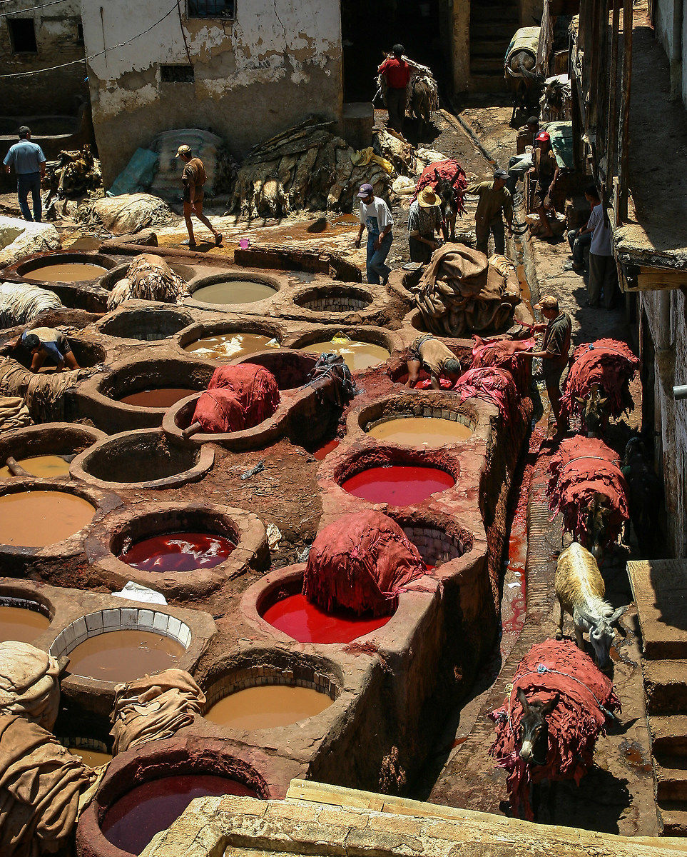 Fes - tannerie-8