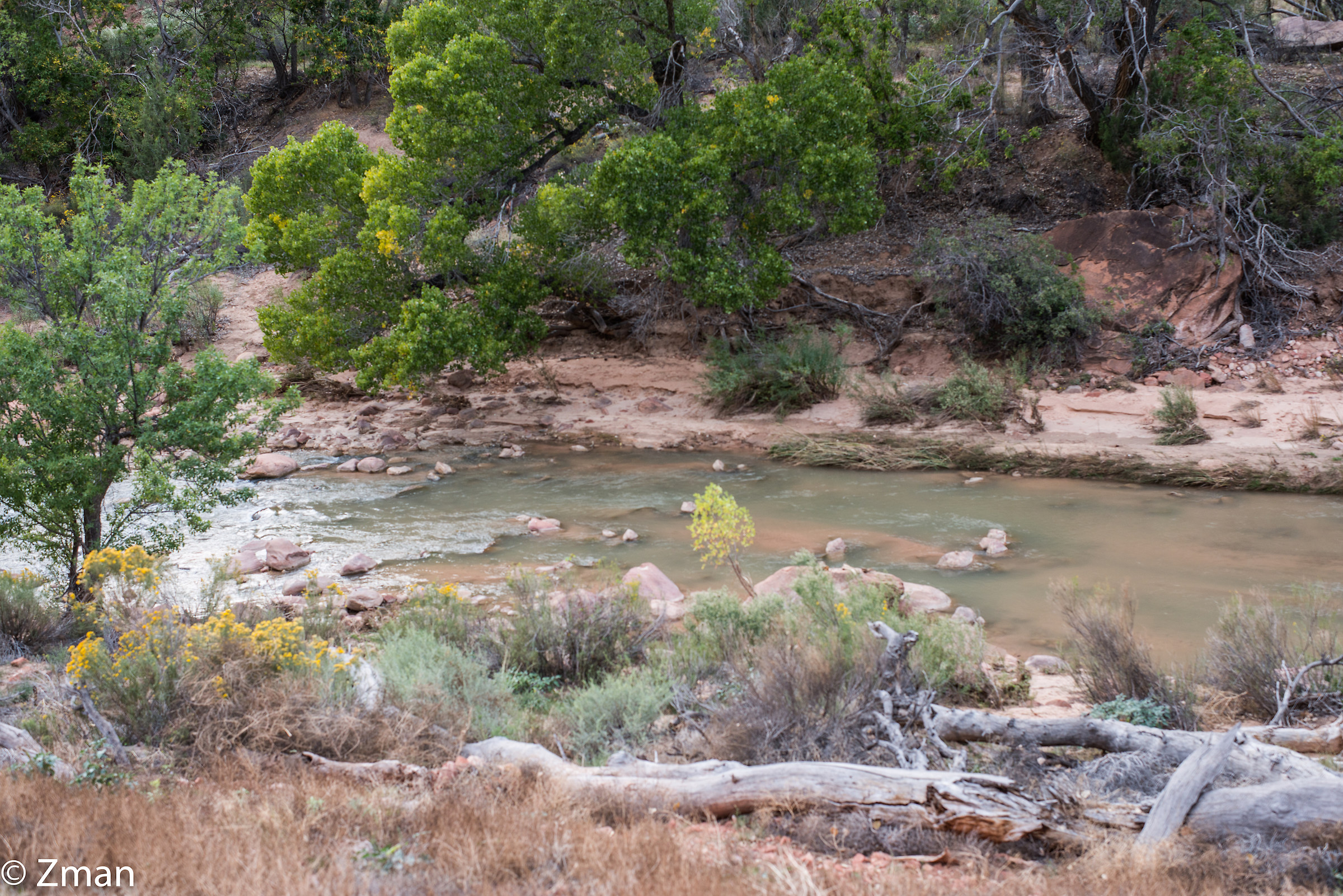 Zion National Park