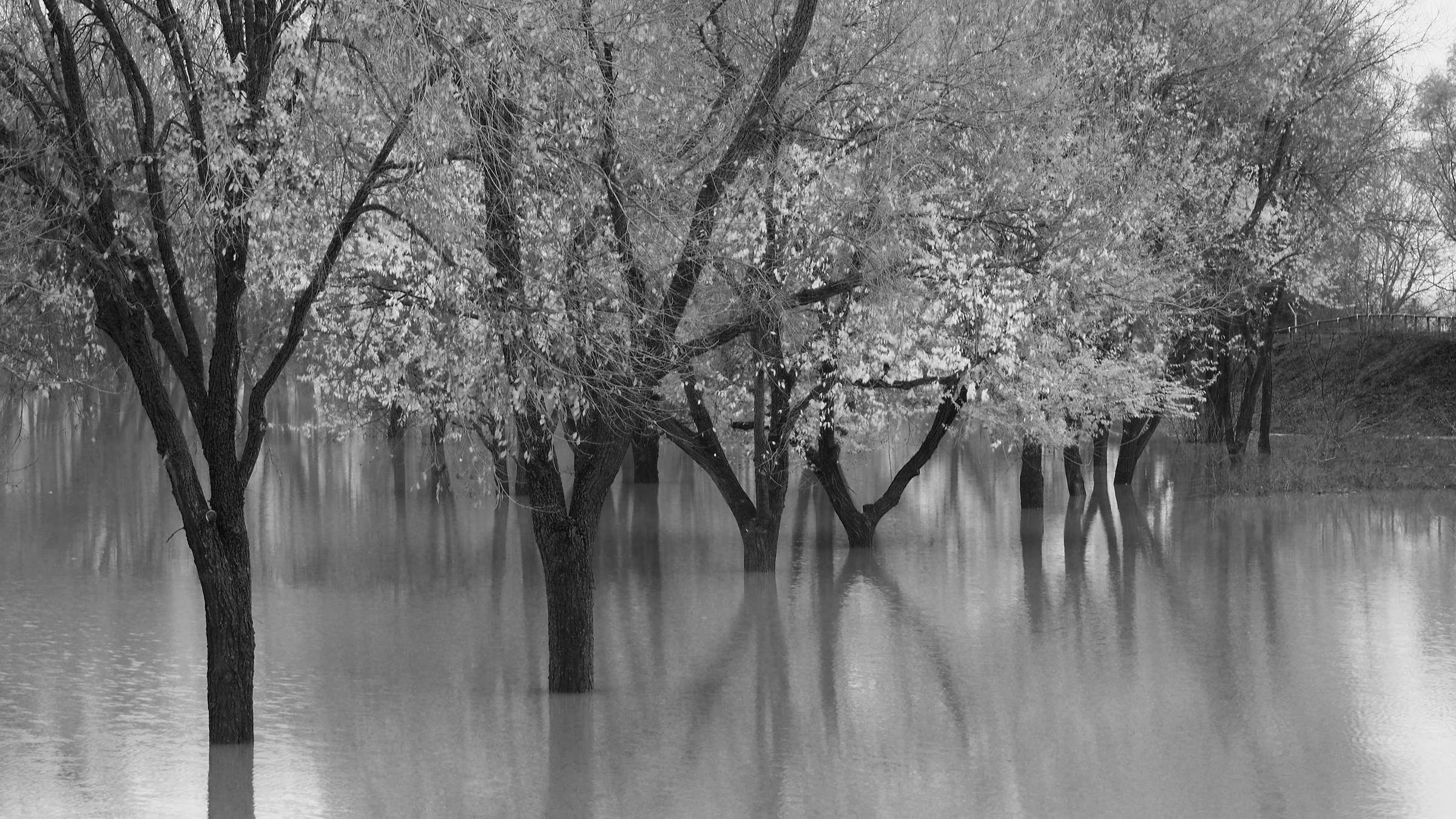 La piena del PO 2014