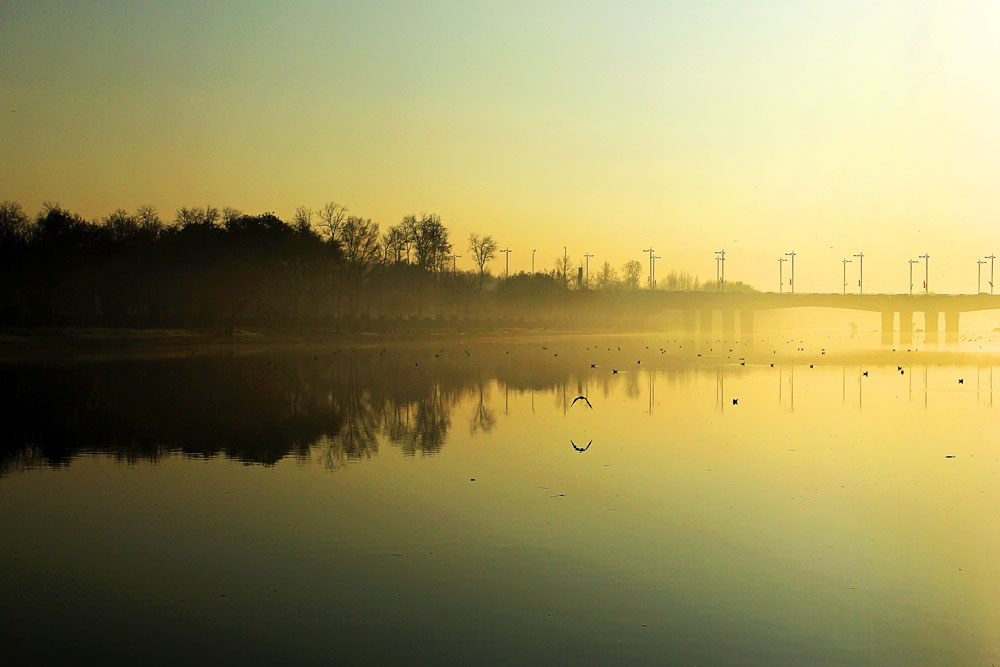 Reflection of flight..