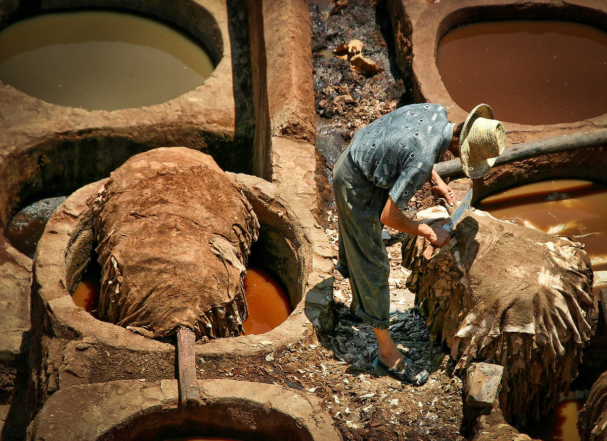 Fes - tannerie 13