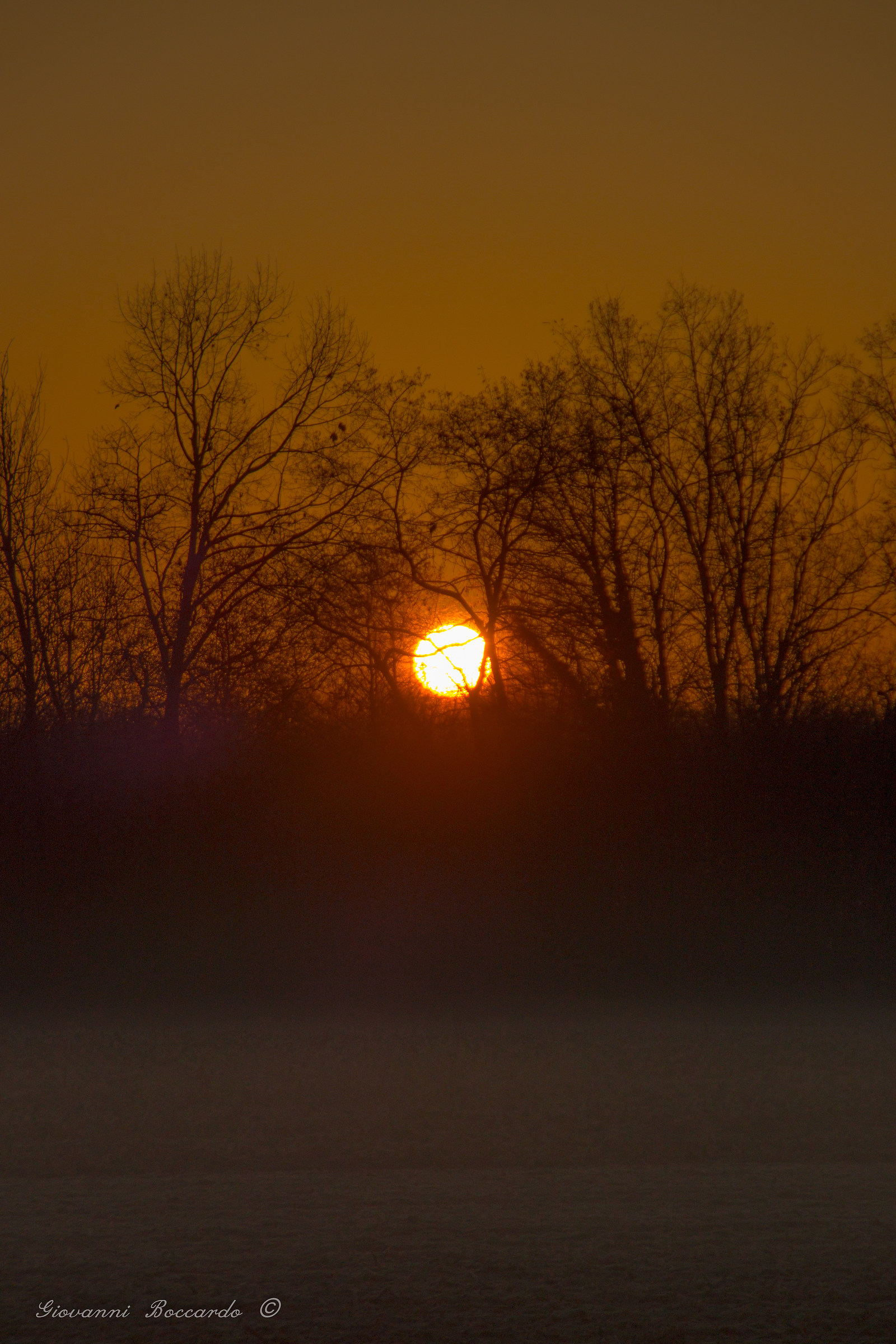 or who are born hot sun, warms this cold earth ...