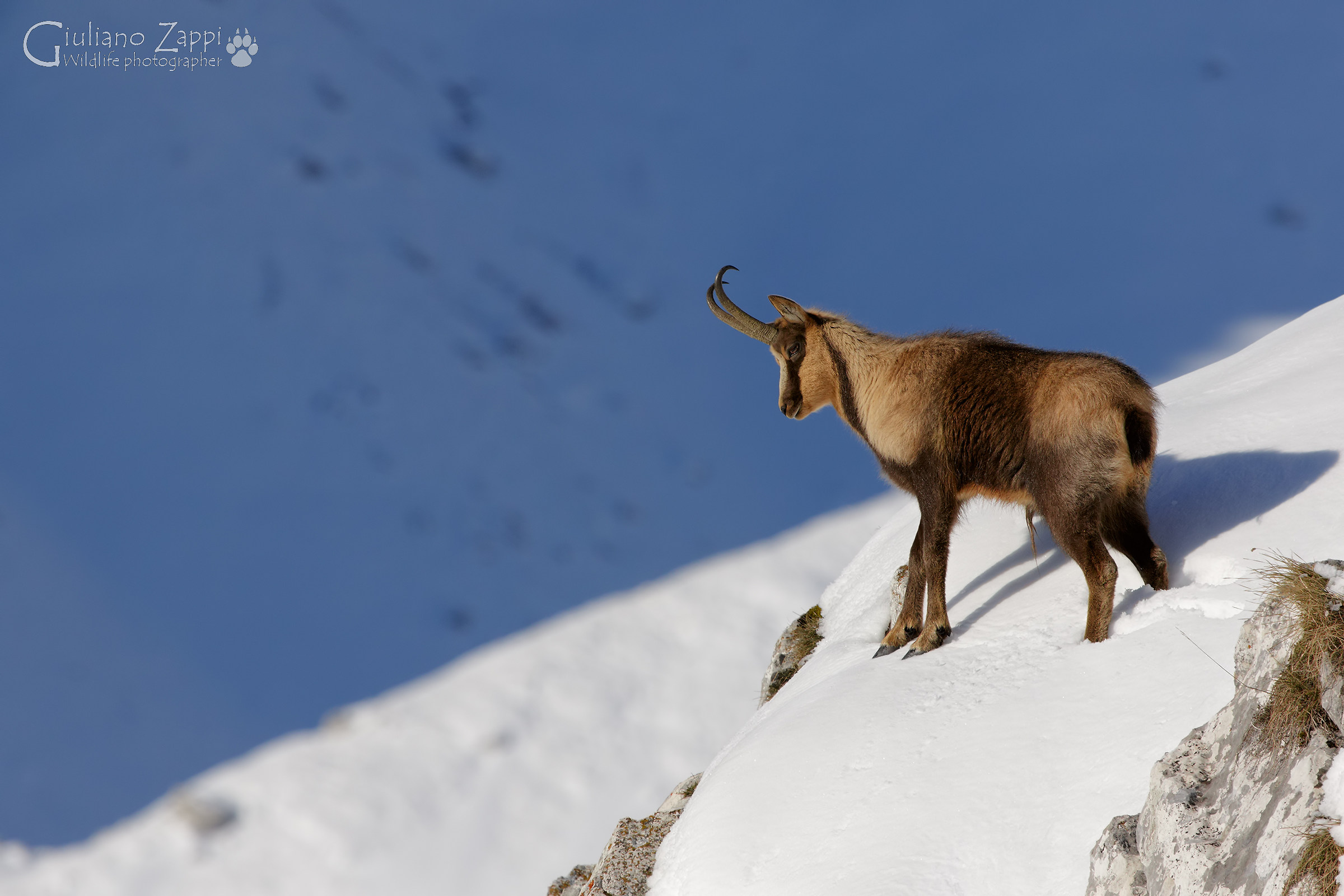 Pensieri malinconici