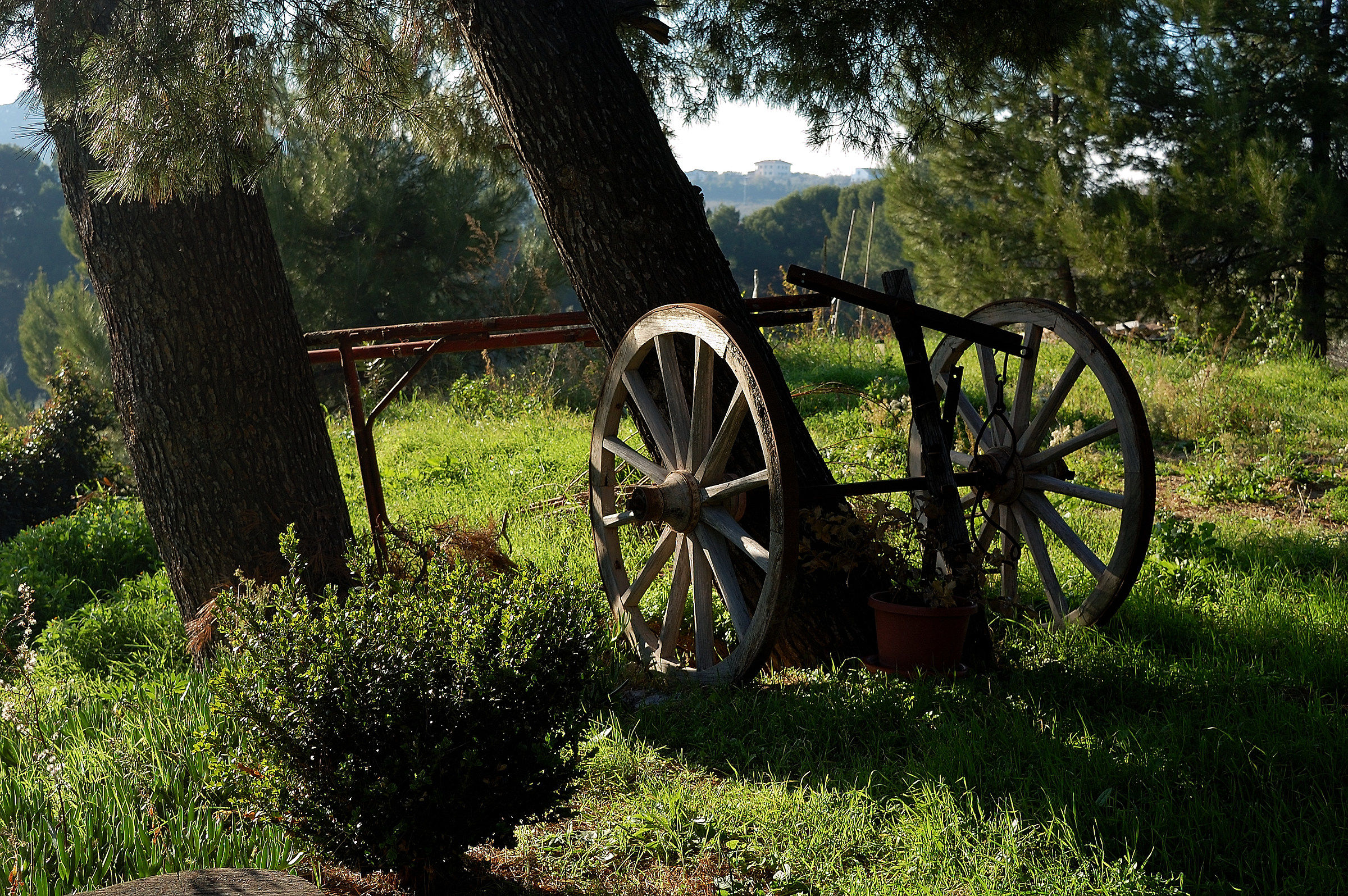 L'aratro di Villa Perenich (Chieti)