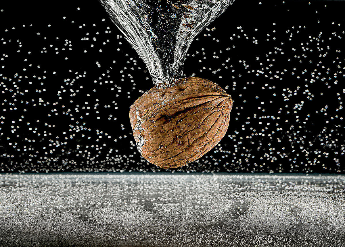 The Universe in a Nutshell