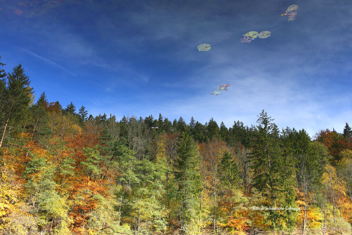 the world upside down