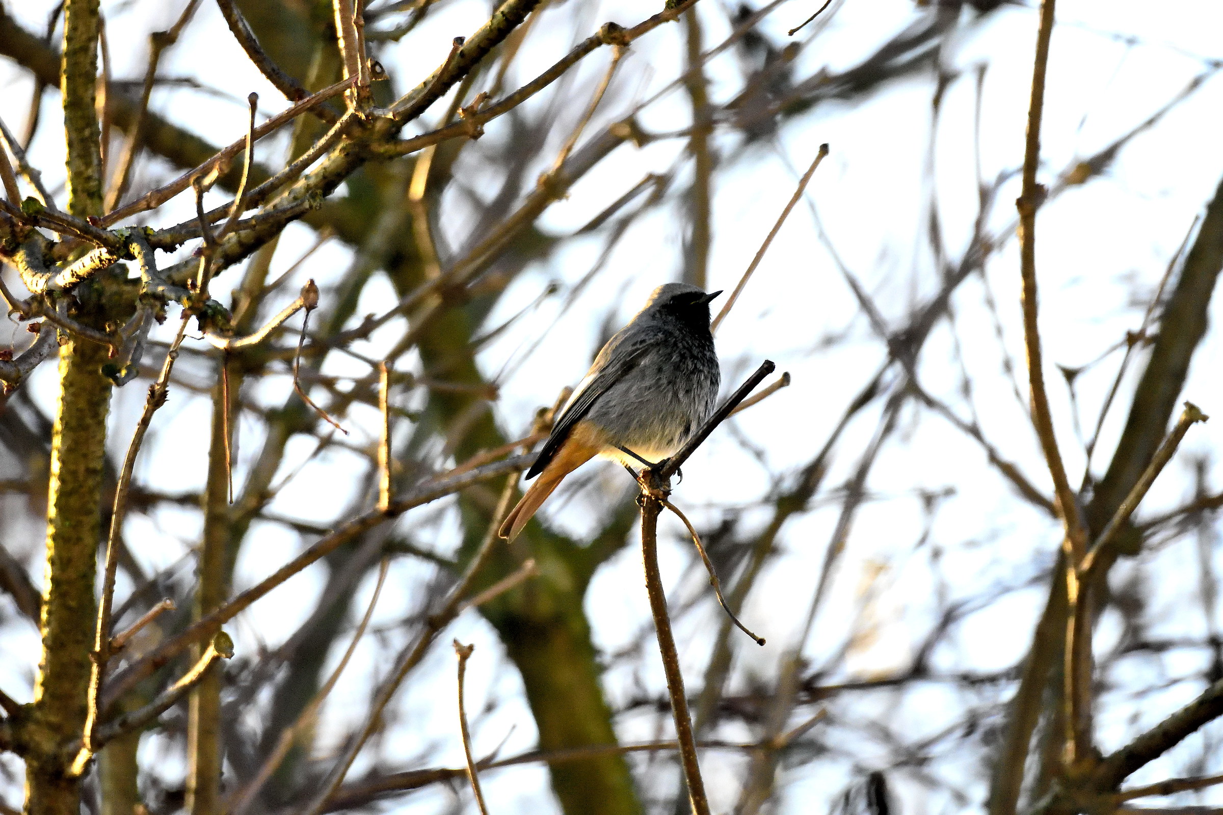 What I was able to photograph?