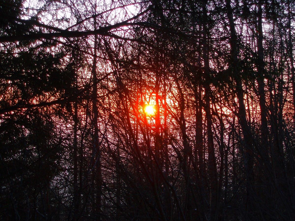 Tramonto in Valle di Gresta 2