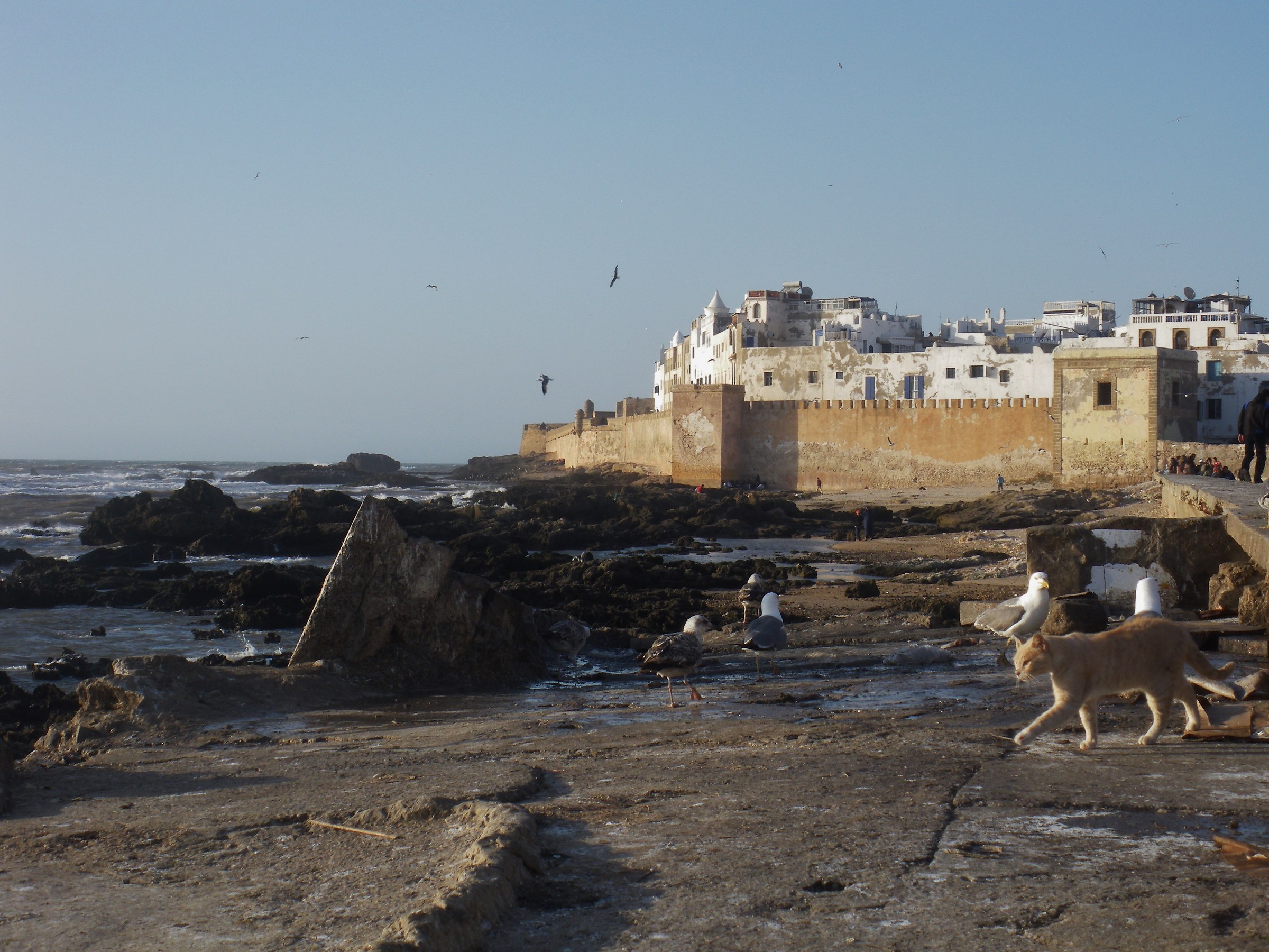 Essaouira La Rocca