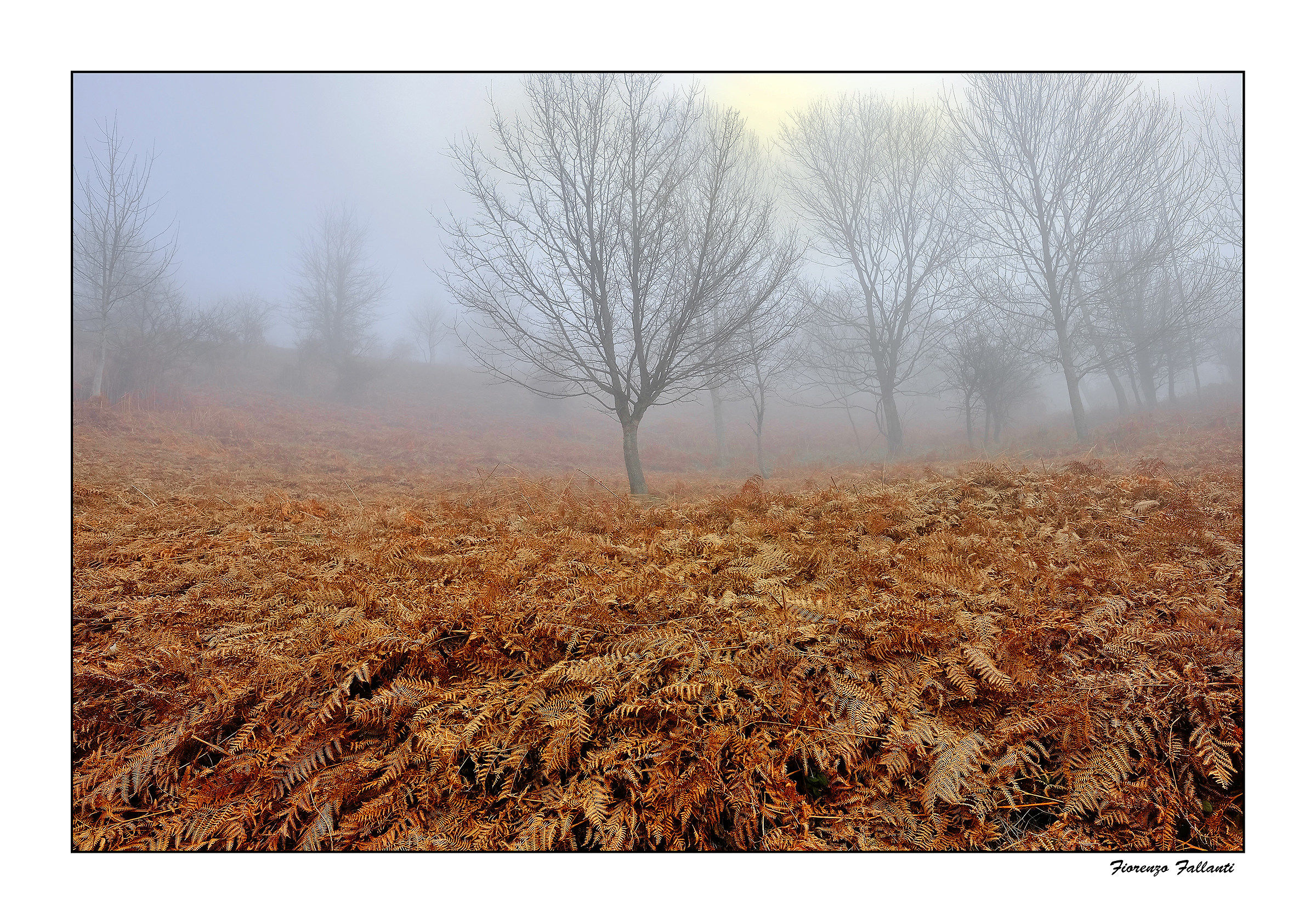 ... Lights Apennines ...