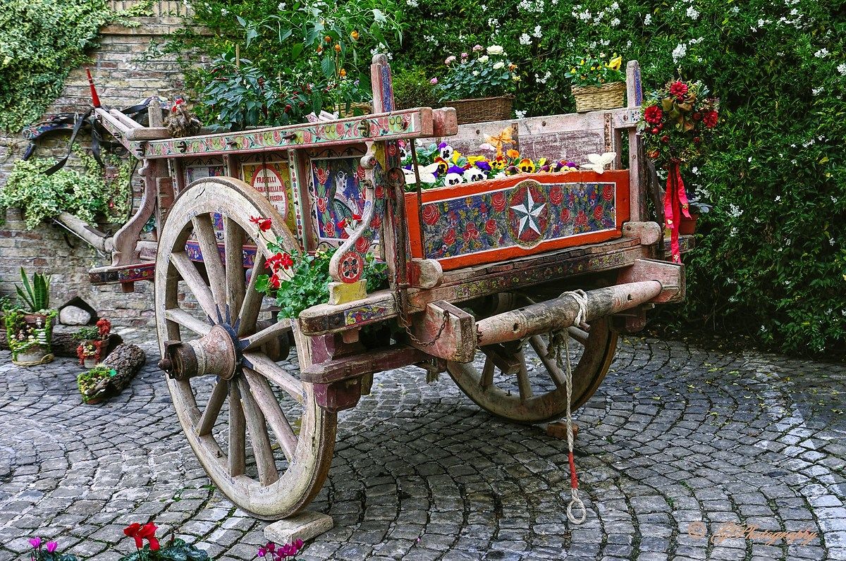 A Biroccio of Flowers