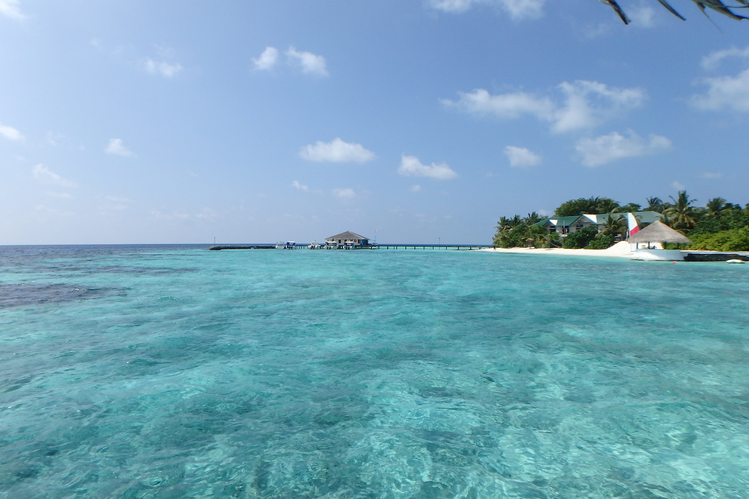 Eriyadu Island Resort maldive