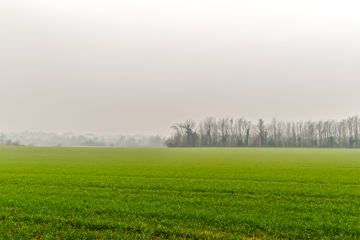 21 dicembre 2015 sui campi del Parco del Molgora
