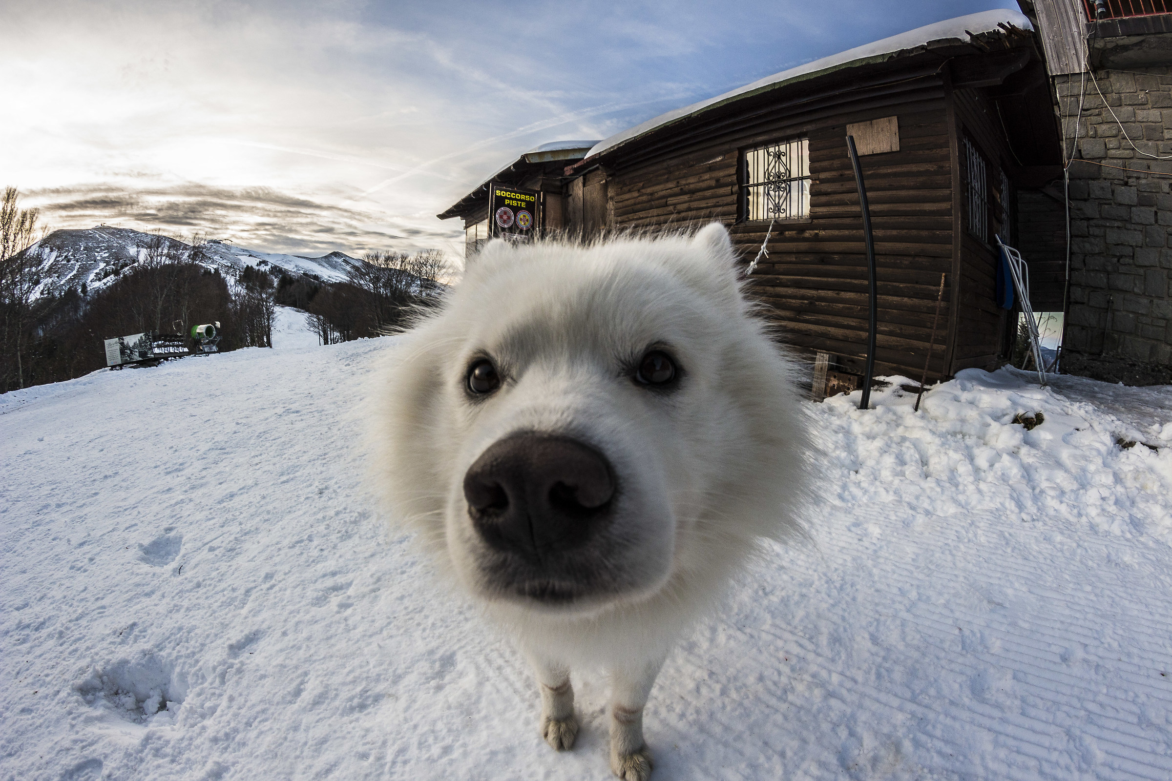 Mountain Rescue all'Abetone