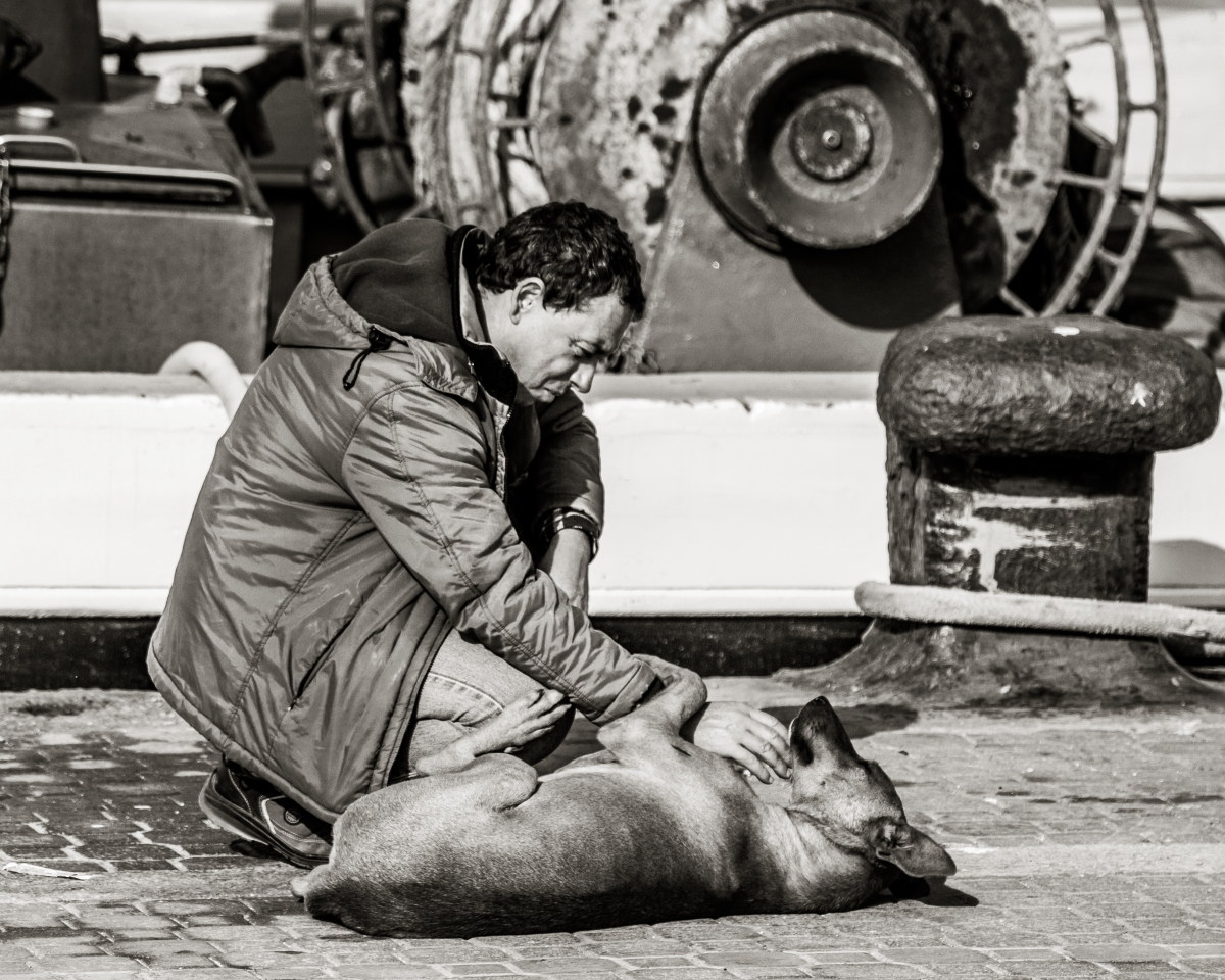 Affectionate greeting ...