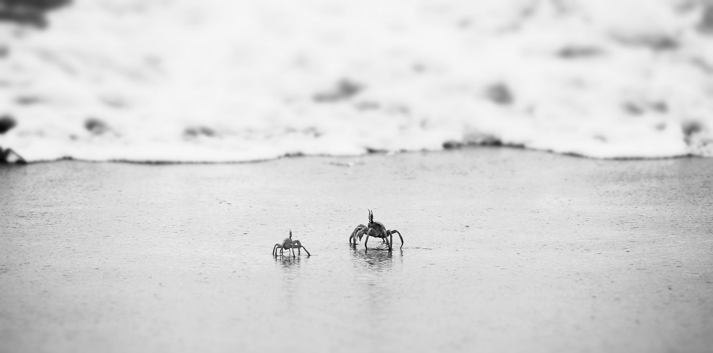 David against Goliath