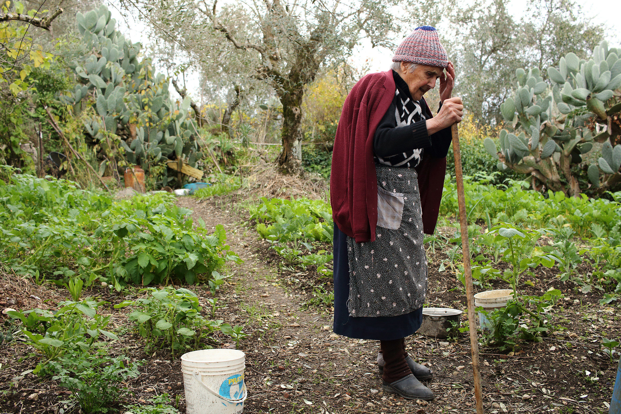 La nonna nell'orto