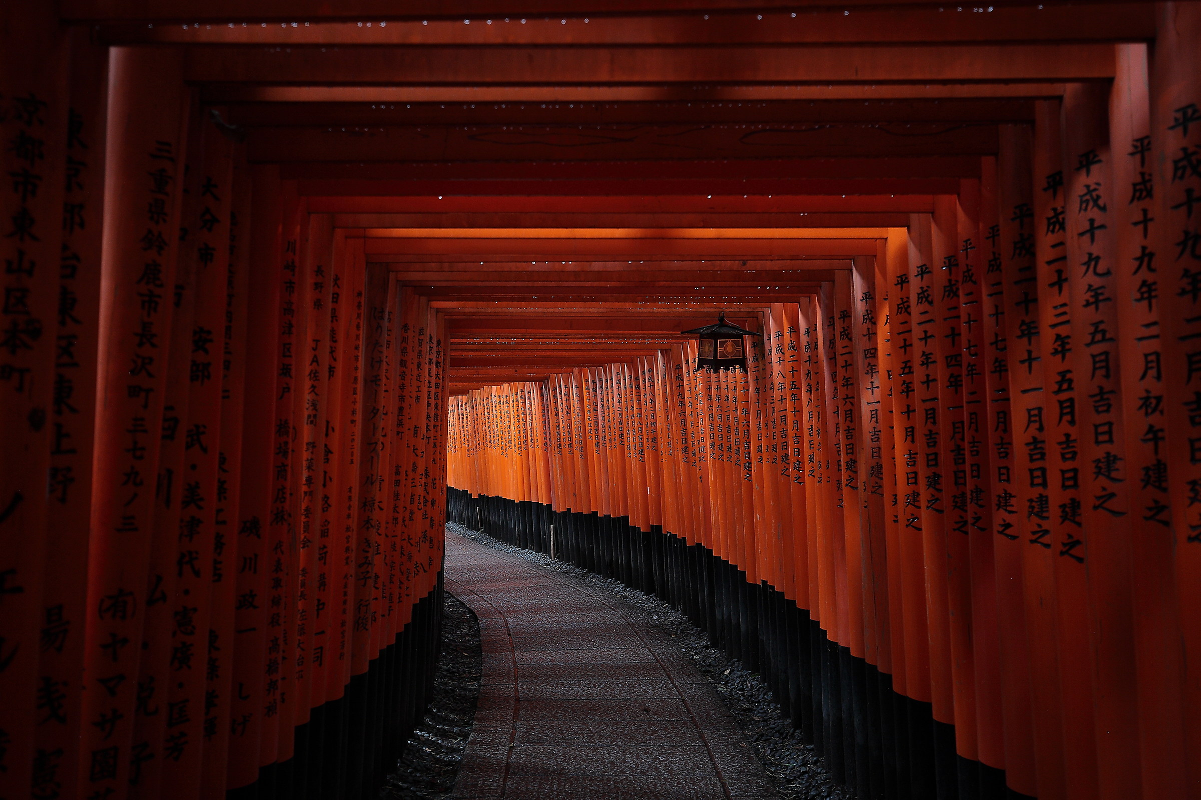 I Torii rossi del santuario di Fushimi Inari
