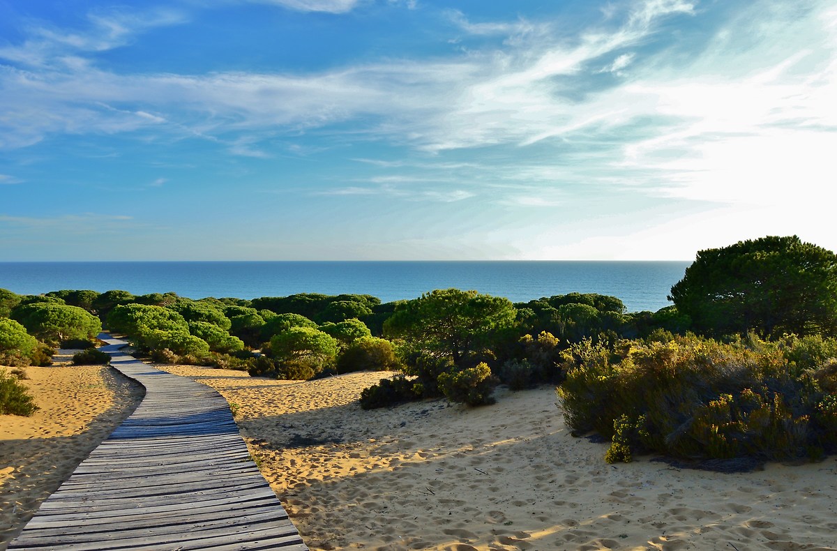 Medano of Asperillo, walk on the dunes