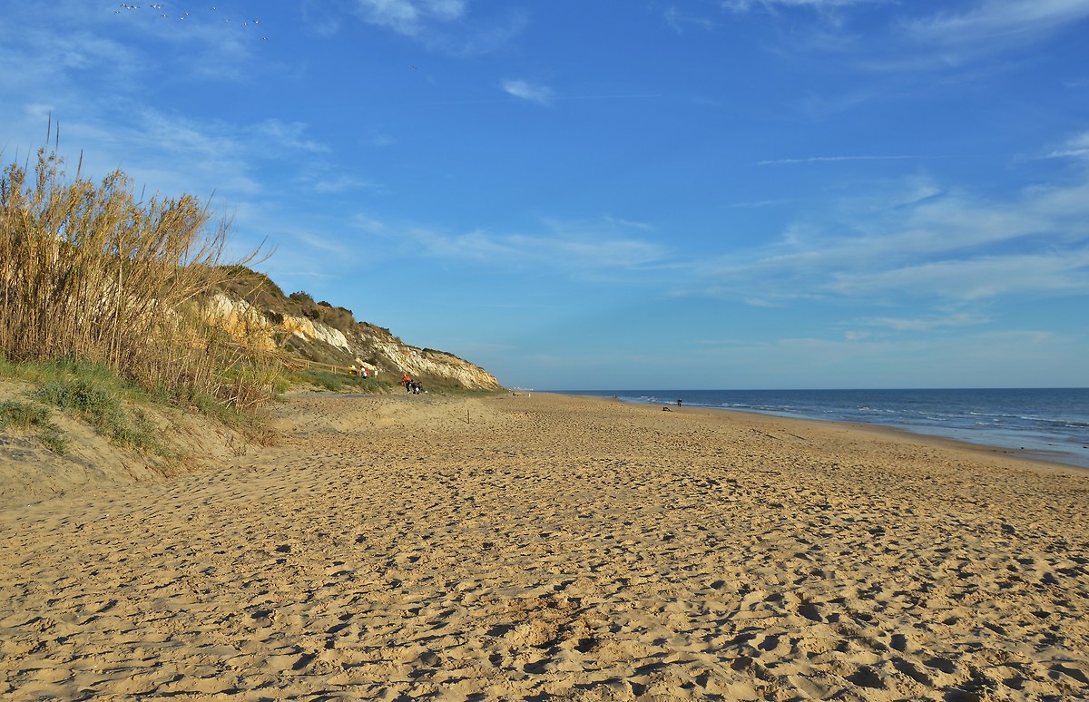 Medano Asperillo the dunes on the beach