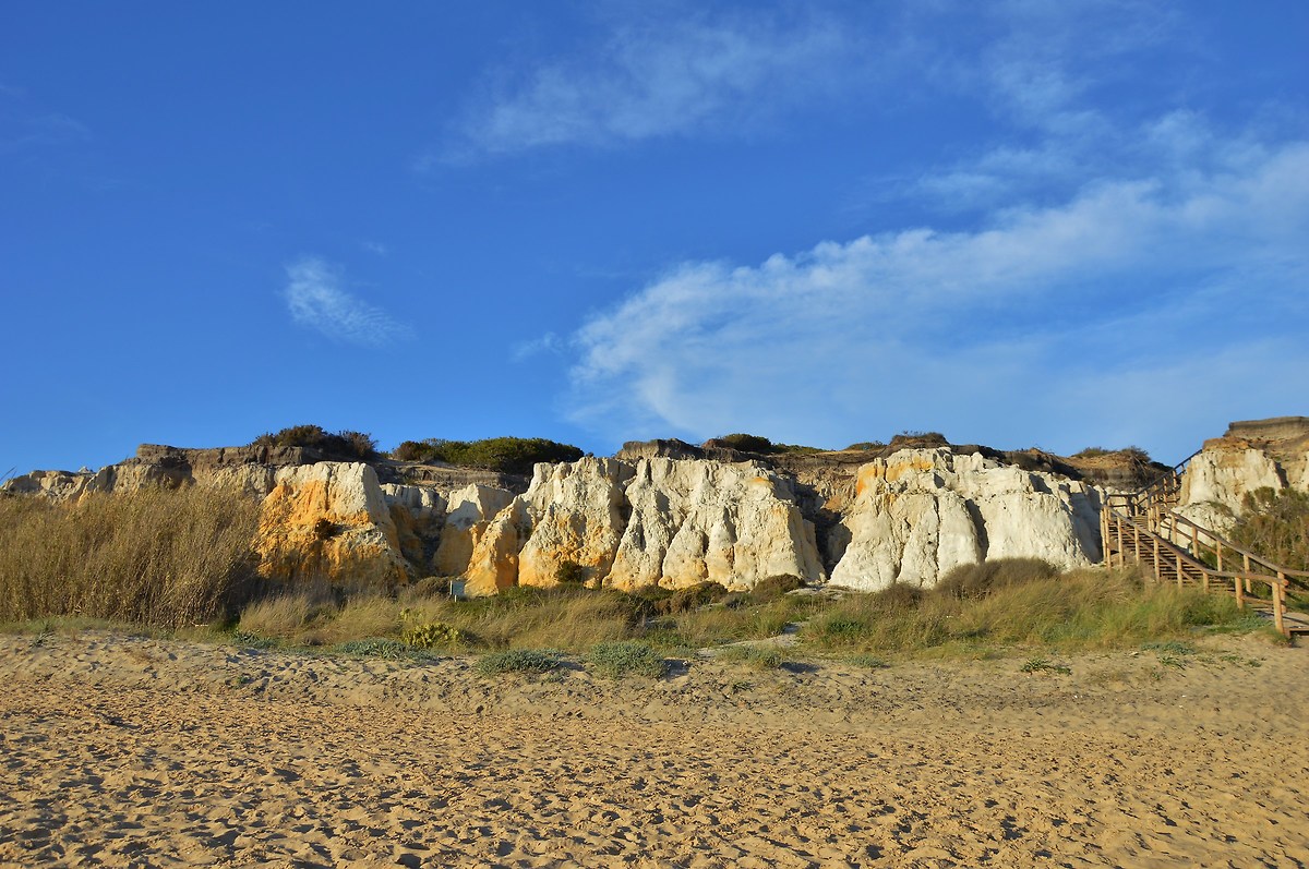Medano Asperillo the dunes on the beach