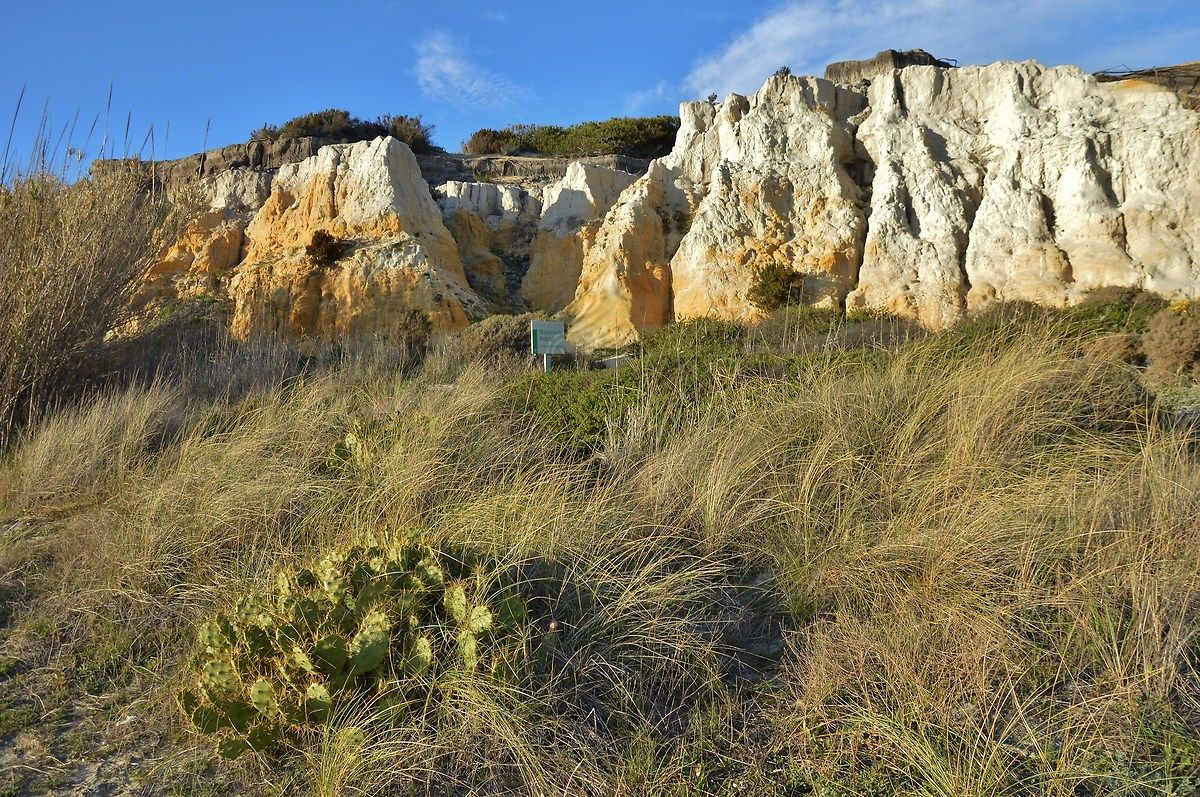 Medano Asperillo the dunes on the beach