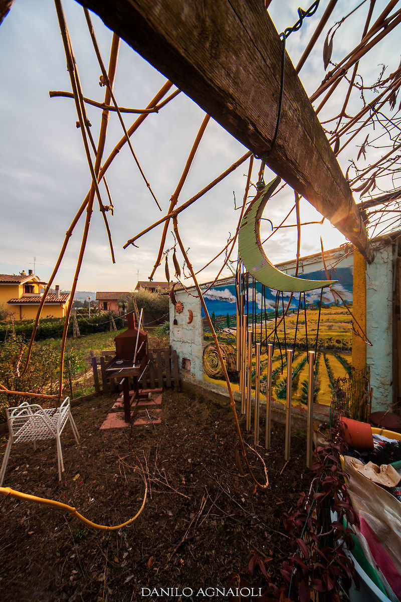 The disorder in the garden of the artist