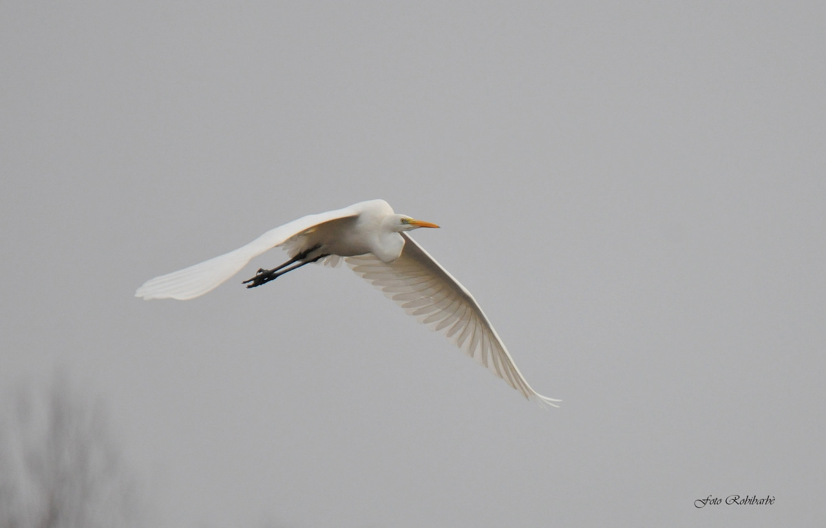 Uscendo dalla nebbia....