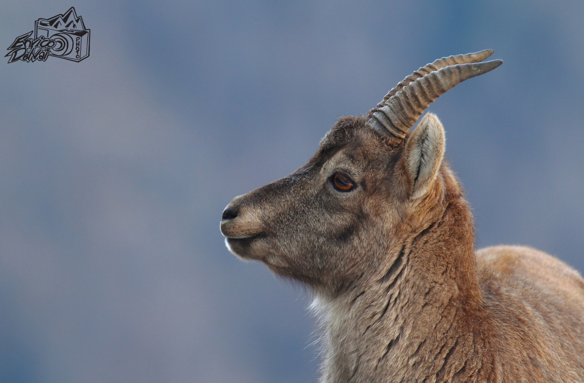 Sguardi femminili...