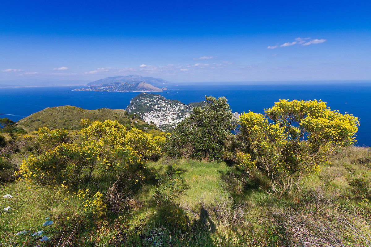 Capri, la vegetazione