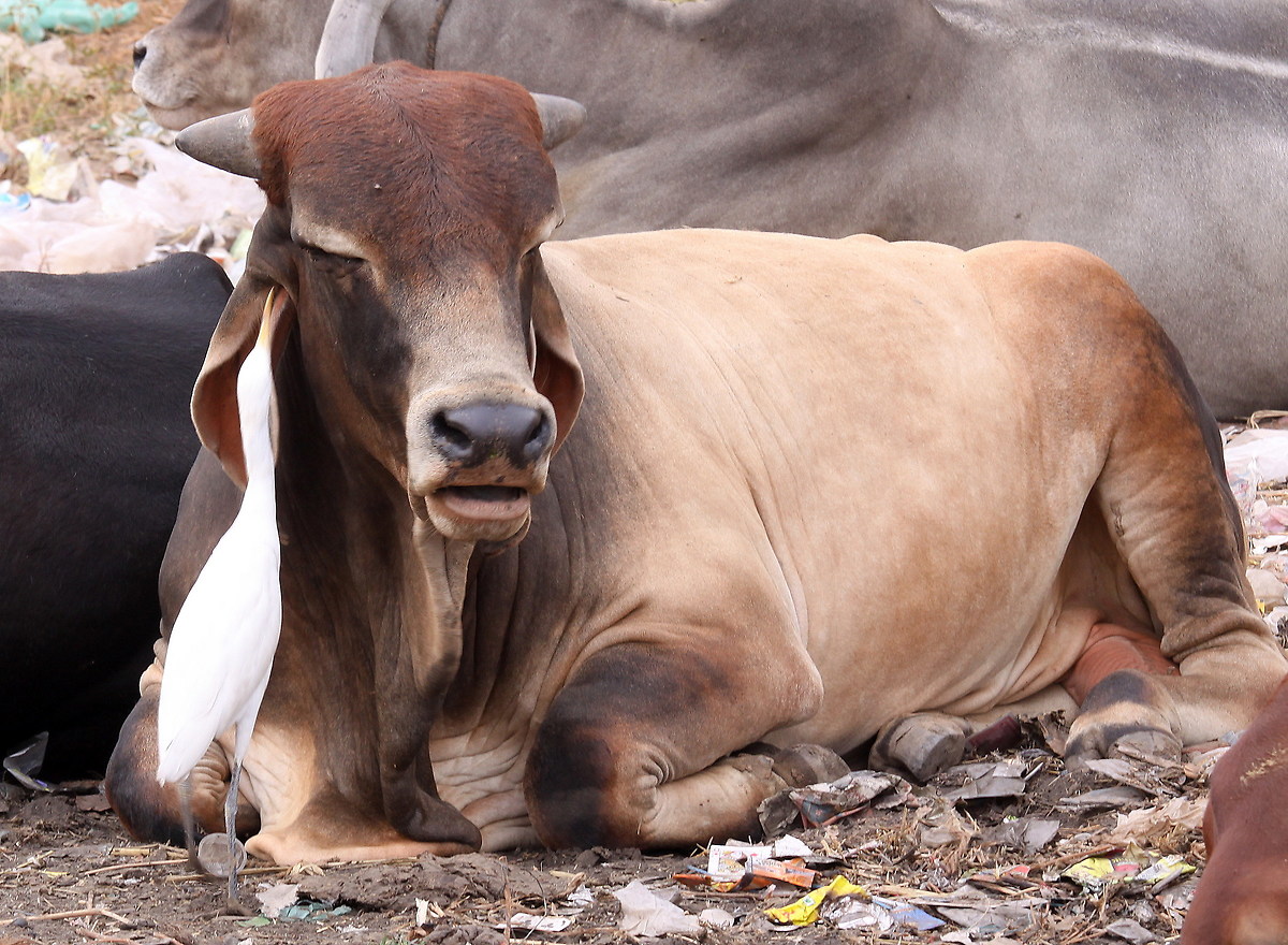 Take it easy with that bill please