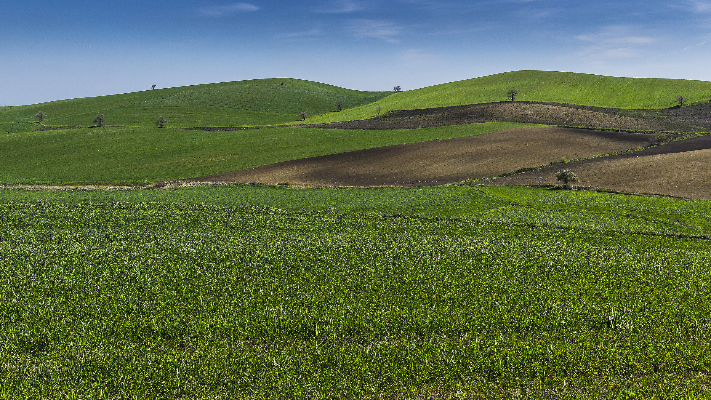 Sinuous (Landscape rural countryside of Val Castelluccio