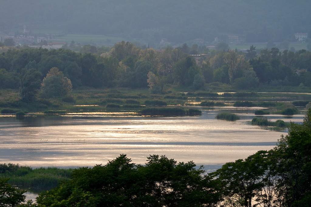 Peat bogs of Ebino all'imbunire